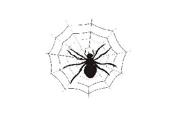 Spinne im Netz  Sticker