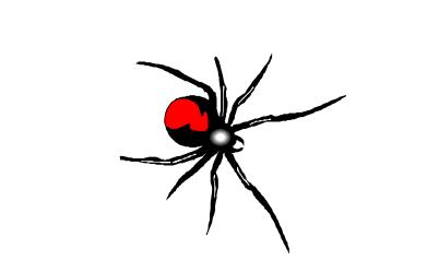 Spinne  Sticker