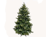 Tannenbaum