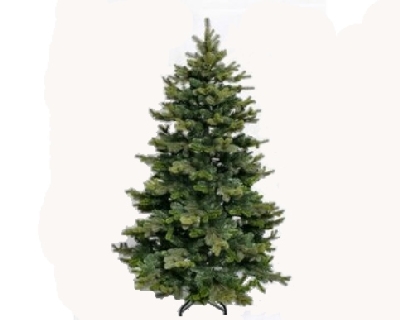 Tannenbaum