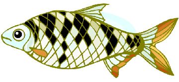 Nailsticker Fische 32
