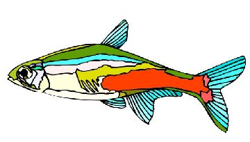 Nailsticker Fische 37