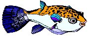 Nailsticker Fische 38