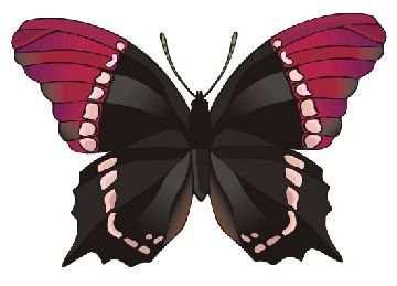 Nailsticker Schmetterlinge 12