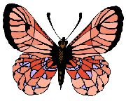 Nailsticker Schmetterlinge 22