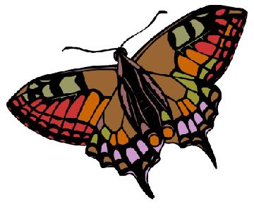 Nailsticker Schmetterlinge 26