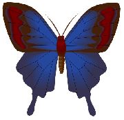 Nailsticker Schmetterlinge 35