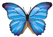 Nailsticker Schmetterlinge 40