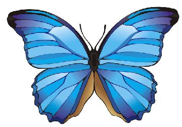 Nailsticker Schmetterlinge 40