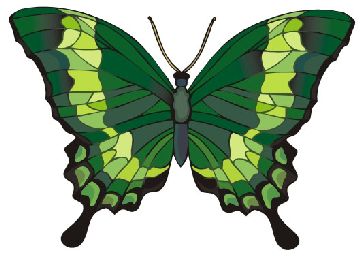 Nailsticker Schmetterlinge 43