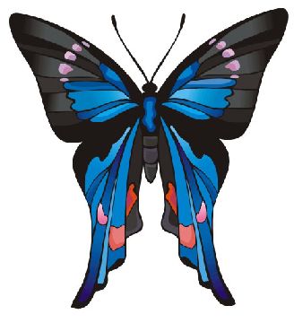 Nailsticker-Schmetterlinge 44