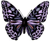 Nailsticker-Schmetterlinge 48