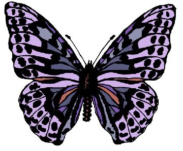 Nailsticker-Schmetterlinge 48