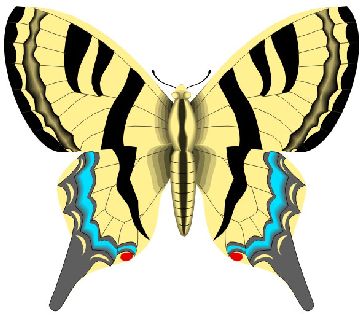 Nailsticker-Schmetterlinge 51