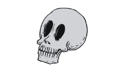 Skull grey