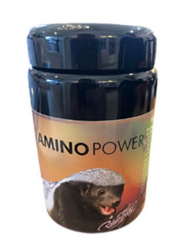 Amino Power