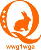 Qanon Sticker Orange